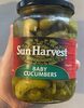 Sun Harvest Baby cicumbers - Product