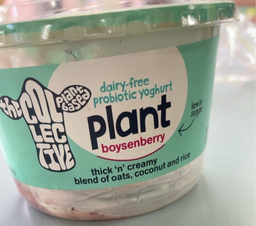 Dairy free priobiotic yoghurt plant boysenberry - Product - en