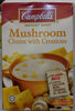 Mushroom, cheese and croutons cream soup - نتاج